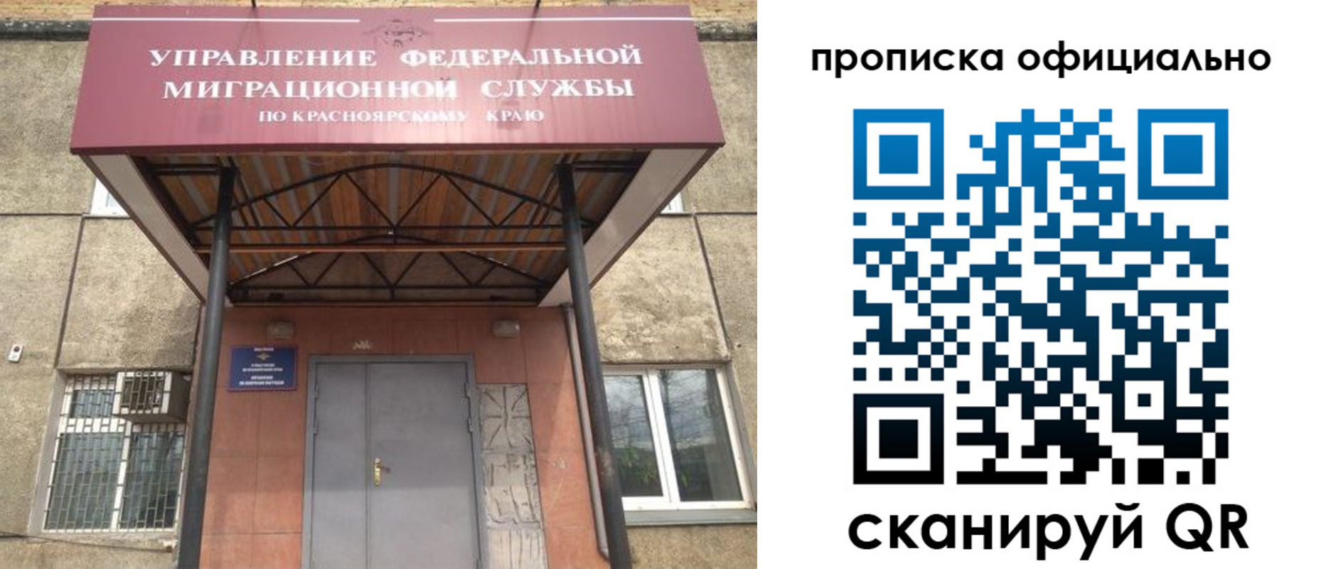 прописка поиск в Ярославской области